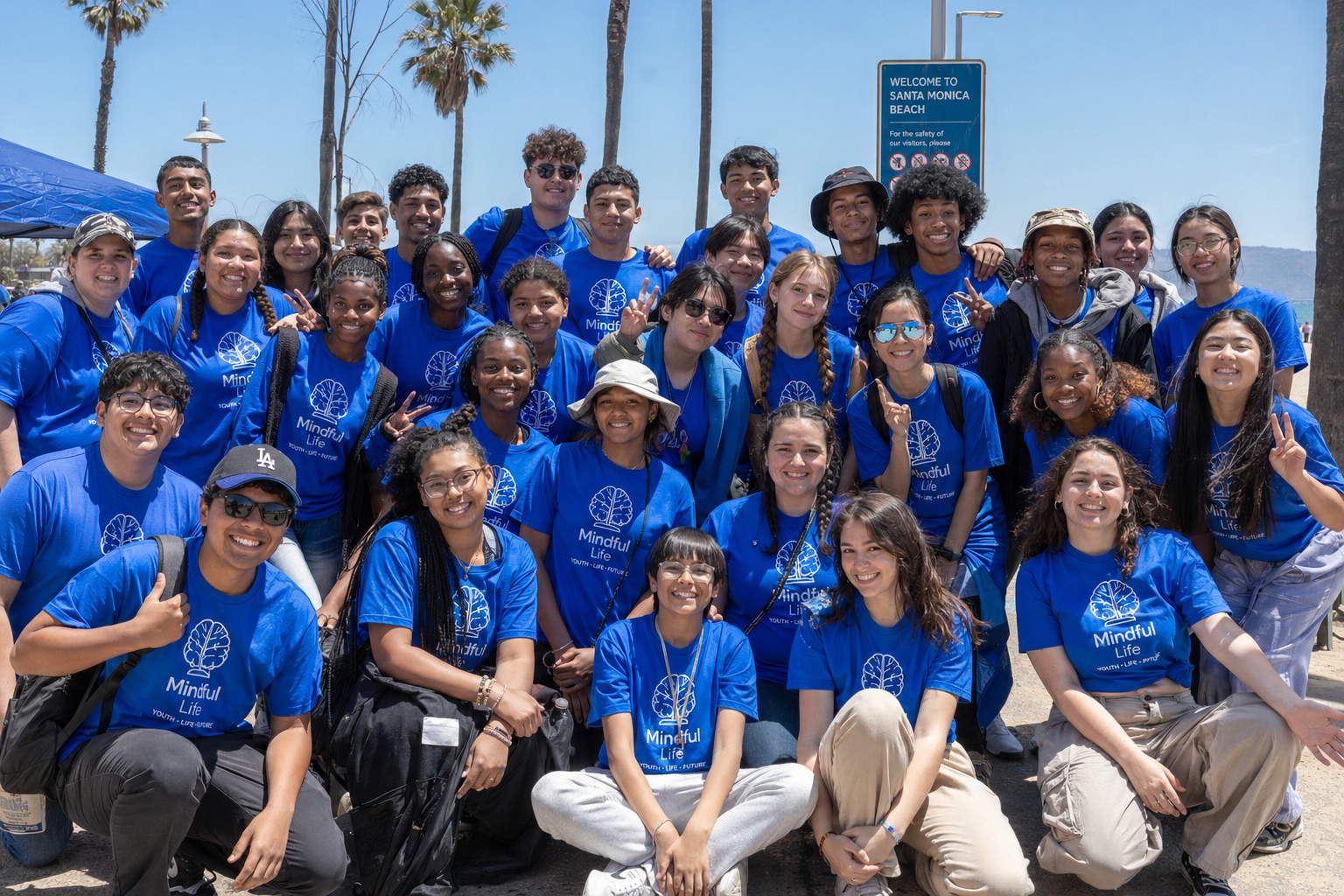 Mental Health Life Skills Youth Services Program